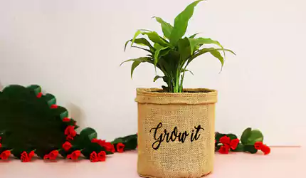 grow bags and planter bags